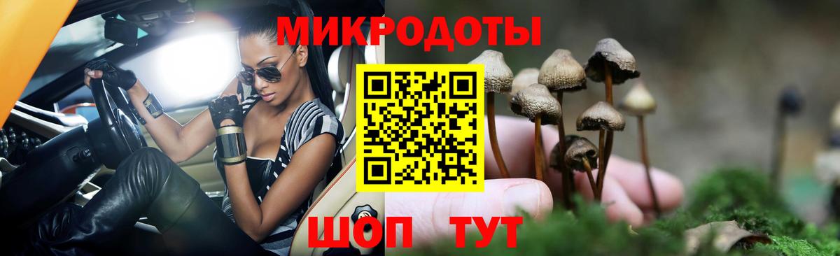 Псилоцибиновые грибы MAGIC MUSHROOMS Полевской